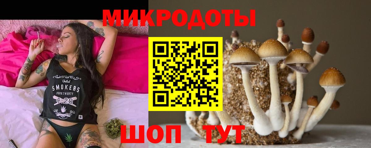 Псилоцибиновые грибы ЛСД  Вход с VPN  Апатиты 